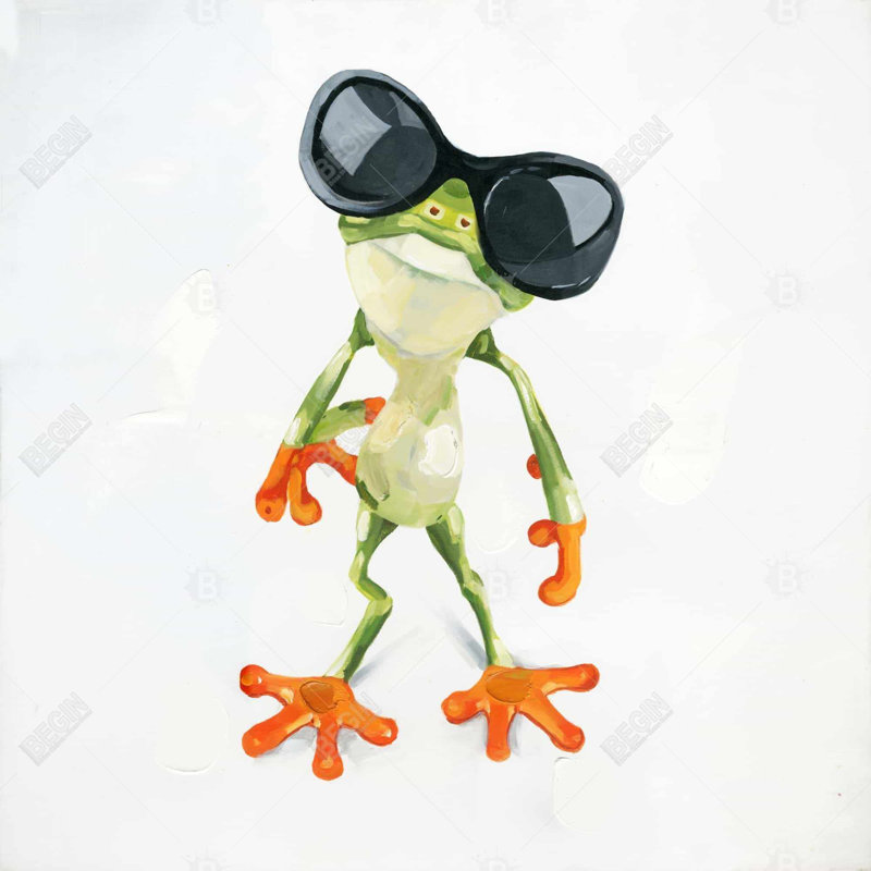 Funny frog with sunglasses - 26"x26" Throw pillow cover - Poly twill - Print on demand, 26" x 26"