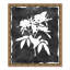 «Black Botanical I» par Carol Robinson - impression encadrée-59853219-59853218