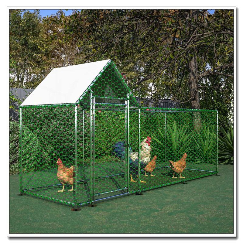 Parc à poules en métal 10 x 3 pi avec couvercle