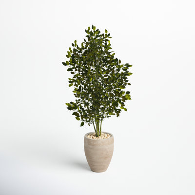 53'' Faux Ficus Tree in Earthenware Planter