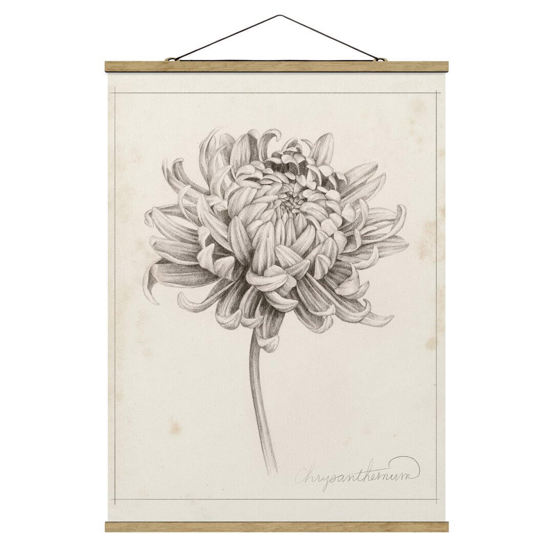 Stoffbild Botanische Studie Chrysantheme I