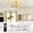 31'' Dimmable Crystal Caged Ceiling Fan With Remote Control And Light Kit