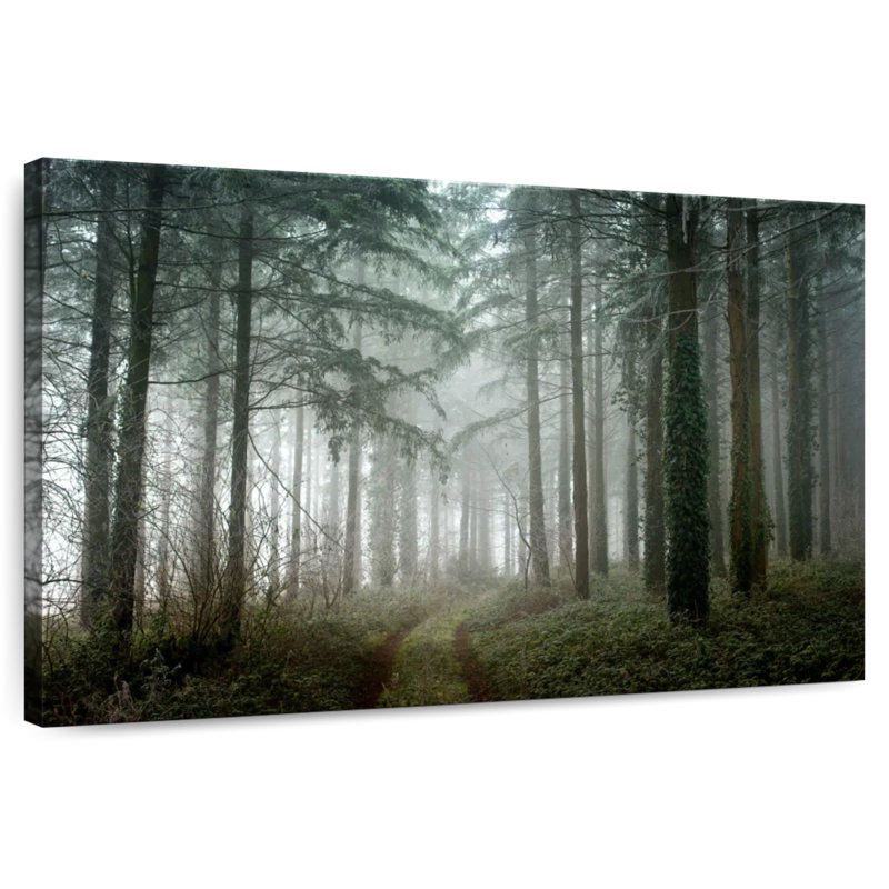 Aadvi Winter Sweet Forest