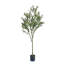 Olive artificielle-545847895