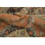 Tapis traditionnel orange 6 x 9 avec médaillon complexe
