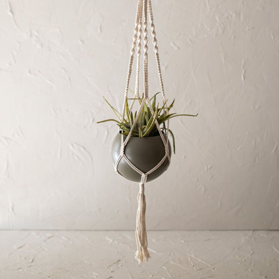 Metal Hanging Planter
