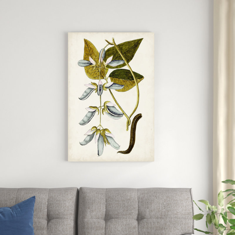 Étude botanique antique V, H 36 po x l 24 po x P 1,25 po