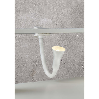 Suter Clip On Lamp