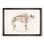 Mammoth Skeleton by Charles d Orbigny - Framed Print-55576645-55576644
