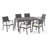 Apgar 6 - Person Patio Dining Set with Rectangular Table , Cushions Included