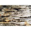 Area Rug in Brown-485629862