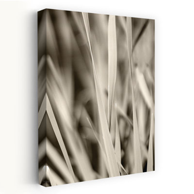 Blades Of Grass - Contemporary Grassy Landscape Green Field Close Focus Art