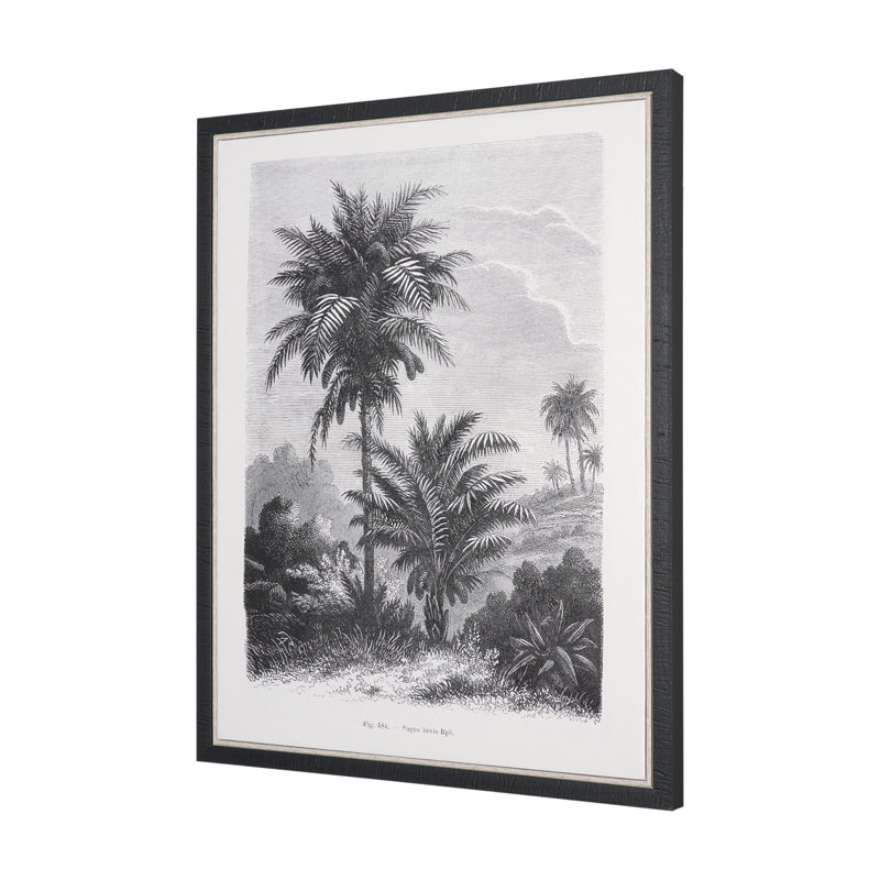 «Vintage Palm Tree Dessin I» par Les Palmiers, histoire, toile encadrée texturée, Dessin de palmier rétro V