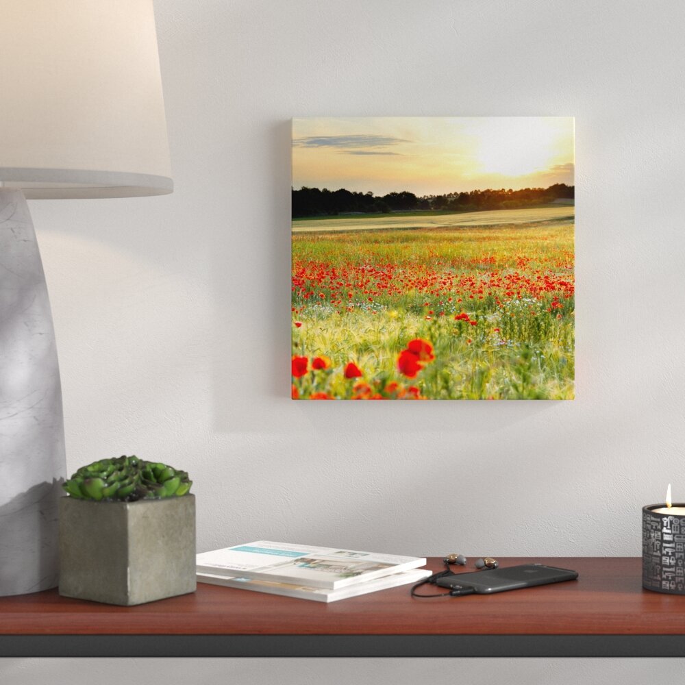 Glasbild Poppy Field