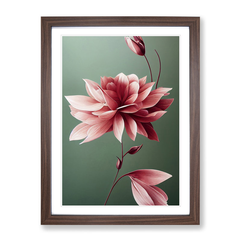 A Picturesque Flower - Wall Art, 66cm H x 48cm W x 2cm D, Walnut Framed, White