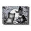«Matched Set» par Avery Multers, art mural sur toile-1818367632