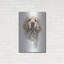 «Clumber Spaniel» par Barbara Keith-1254066885
