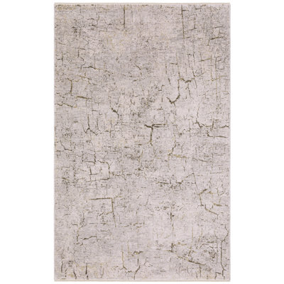 Telisa Distressed Stone Grey/ Gold Area Rug