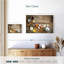 Essentiels de cuisson-1229211111