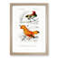 Bird Illustrations PL. 5B by Charles D' Orbigny - Single Picture Frame Painting-55457118-55457119