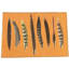Animal Print Area Rug in Butternut-619382537