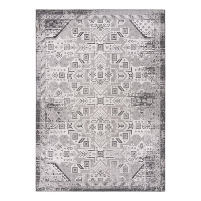 Alucard Indoor / Outdoor Rug