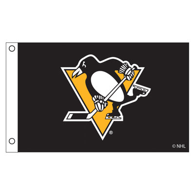 Double Sided 36'' H x 60'' W Polyester House Flag