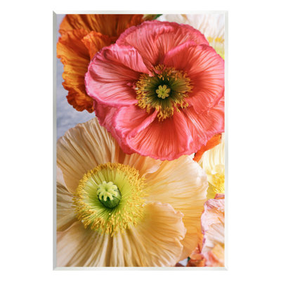 Fleur de coquelicot détaillée, art de la giclée par Carina Okula
