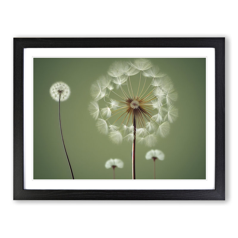 XH1022-9684X Vivacious Dandelion Flowers 1 Piece Single Picture Frame Wall Art, 25cm H x 34cm W, Black