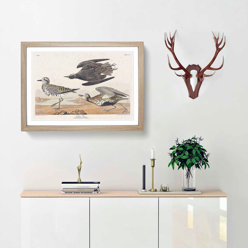Golden Plover Birds by John Audubon - Framed Print, 36cm H x 48cm W x 2cm D, Oak Framed