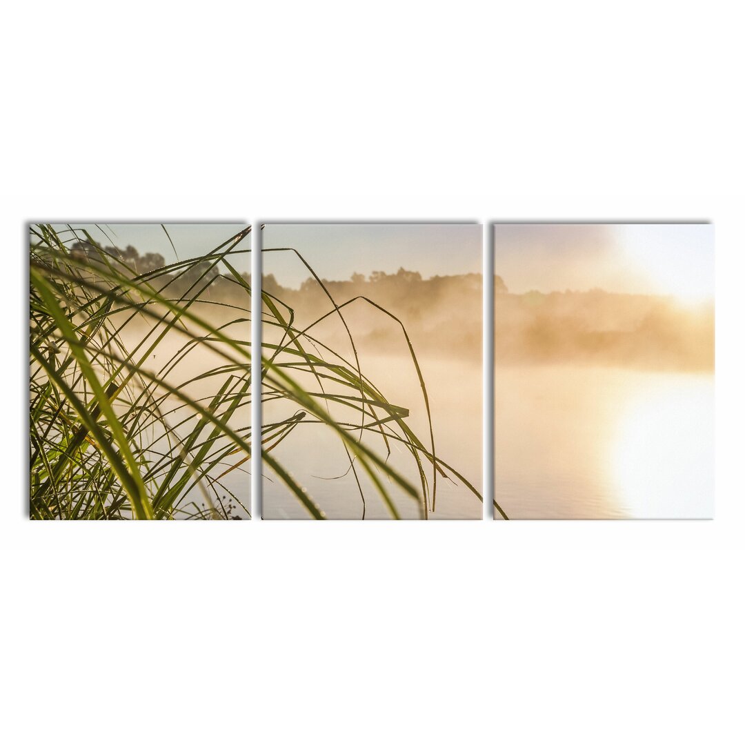 3-tlg. Leinwandbilder-Set Reeds at a Lake