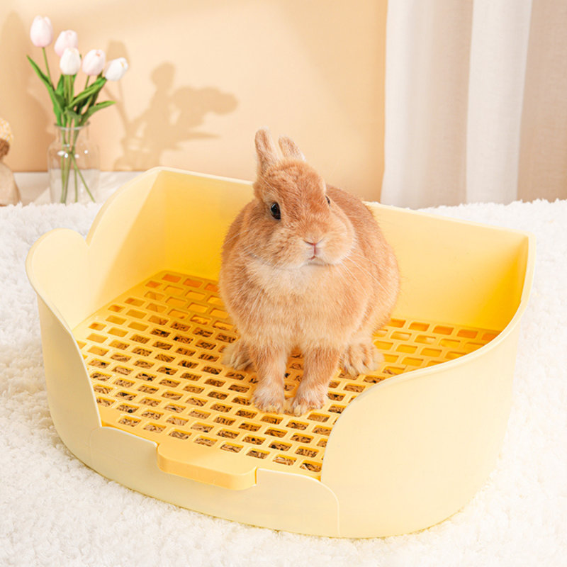 Accessoire pour cage à lapin Ellyona