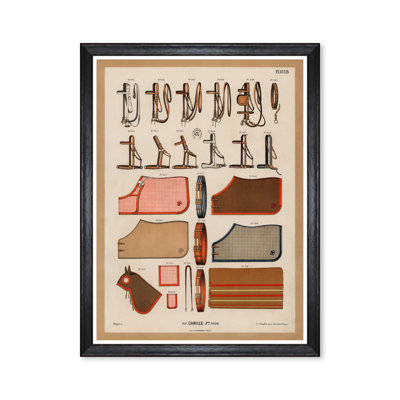 THE RIDING EQUIPMENT II