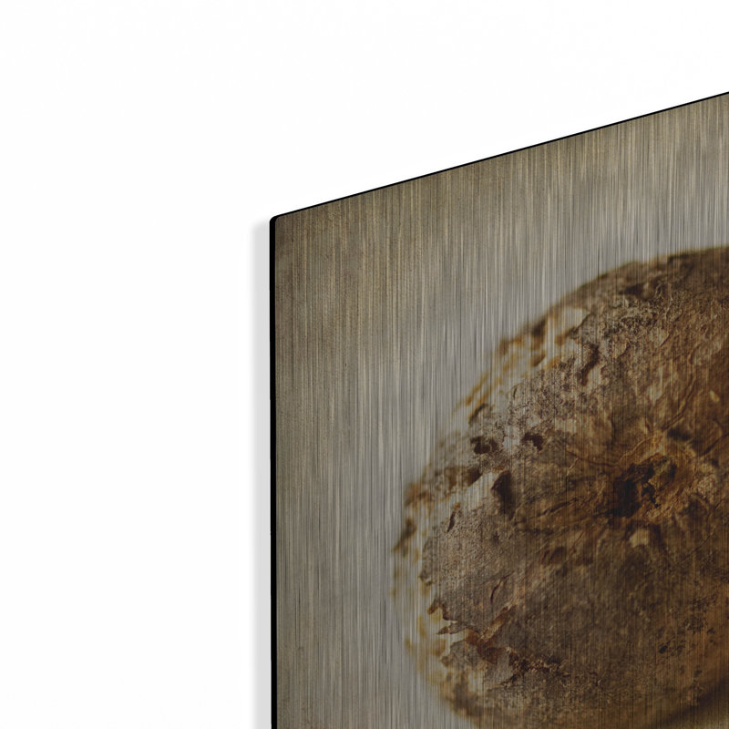 «Oak Pods 5» par Jessica Rogers, H 12 po x l 12 po