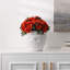 Arrangement de souci en pot