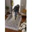 Tapis ivoire multicolore Nourison Astra-873054001