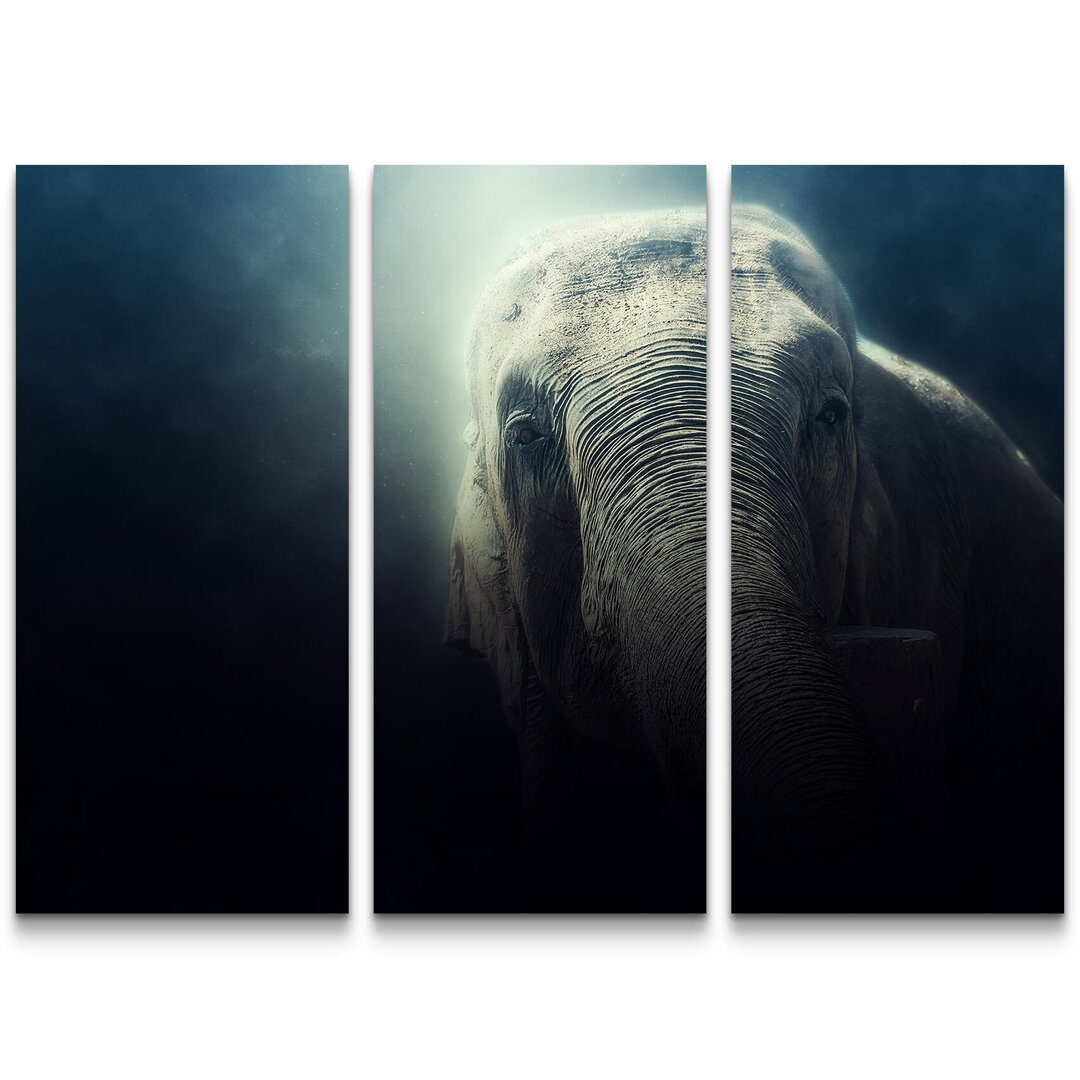 3-tlg. Leinwandbilder-Set Portrait Elefant