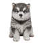 STATUE CHIOT MALAMUTE