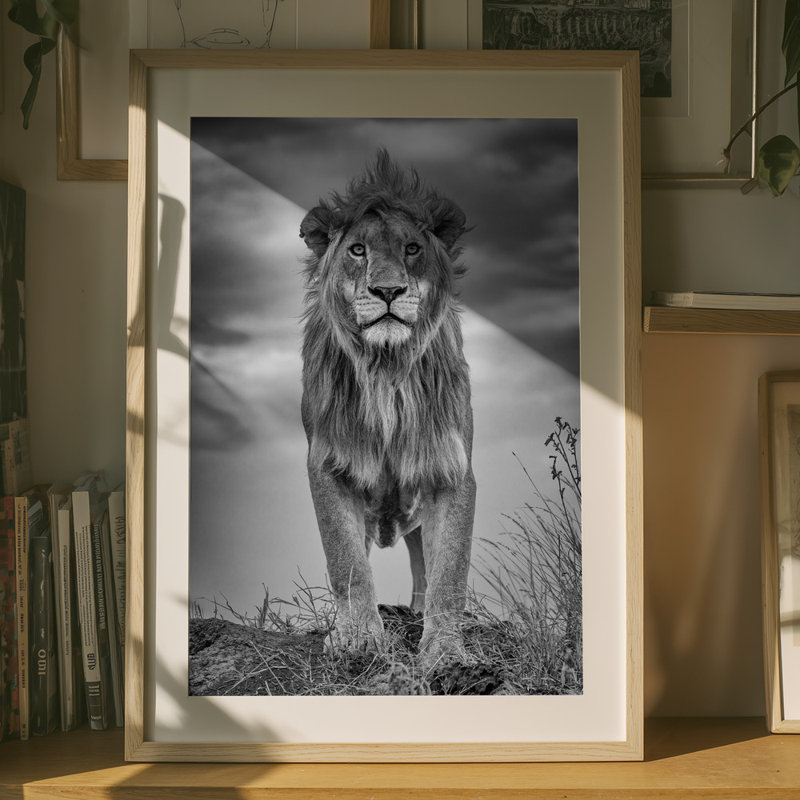Wrapped Canvas Print, 91.44 cm H x 60.96 cm W