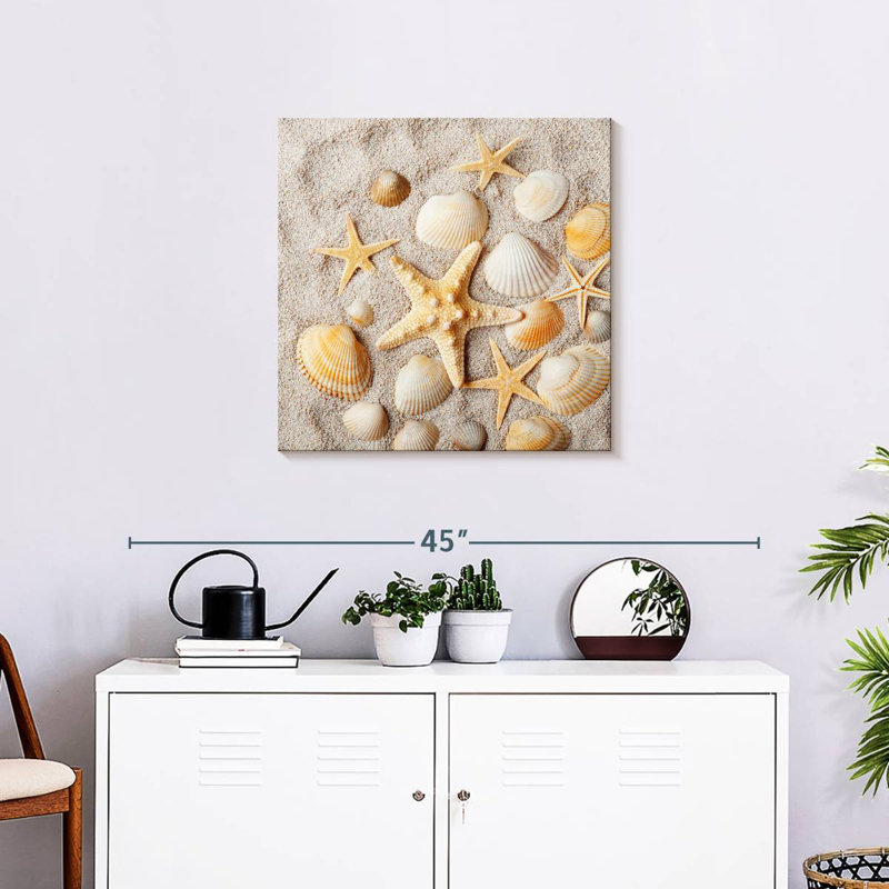 Aletra Decorative Seashells, 24" H x 24" W