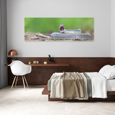 Fierce Snake Display 1 Piece Wrapped Canvas Panoramic Wall Art