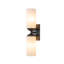 Double Glass Dimmable Armed Sconce-1825456996