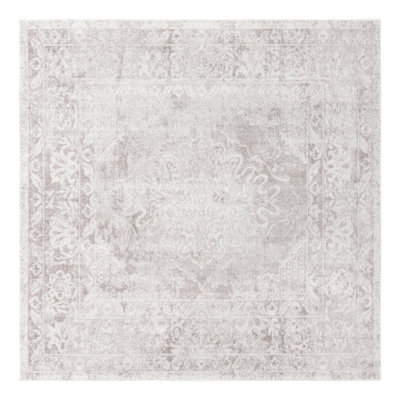 Audres Oriental Gray/Ivory Area Rug