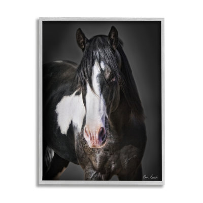 Cheval noir et blanc sur bois par David Drost