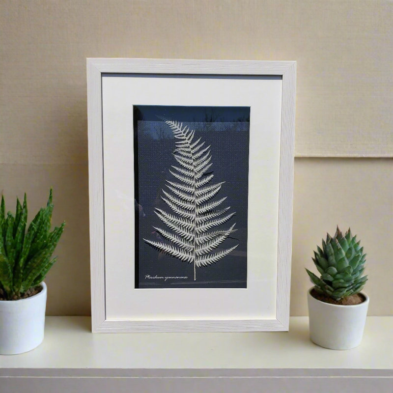 Boîte à ombre botanique - Empreinte de la nature (12 x 16 po)