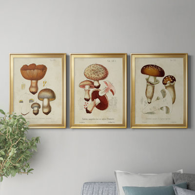 " Mushroom Varieties I " 3 - Pieces Painting Print