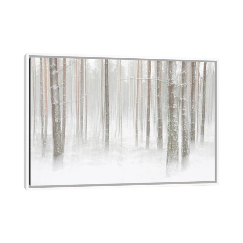 Winterforest In Sweden by Christian Lindsten - Print on Canvas