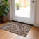 Machine Washable Indoor/Outdoor Chayden ACN999 Rug