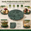 Assiette de service ivoire Ivy Bronx