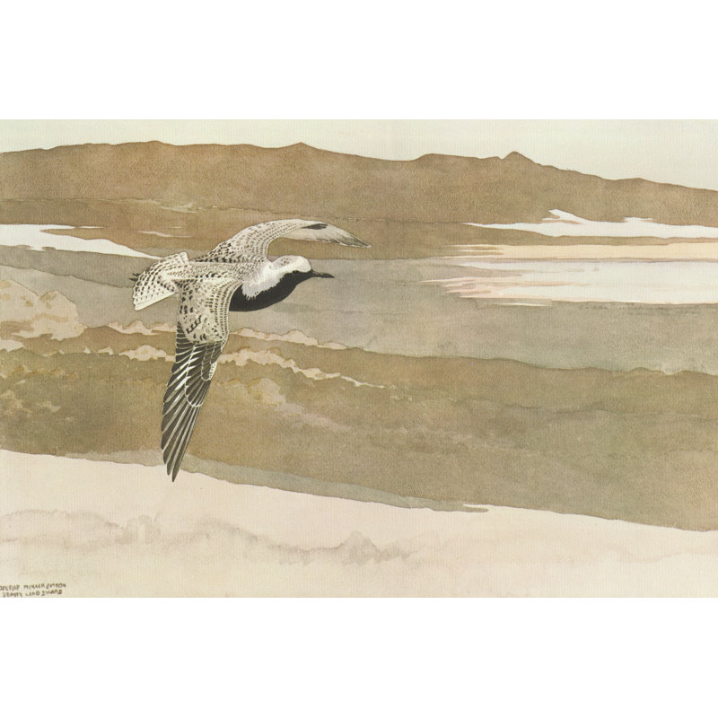 Soaring by George Sutton - Wrapped Canvas Print, 20cm H x 30cm W x 3.8cm D